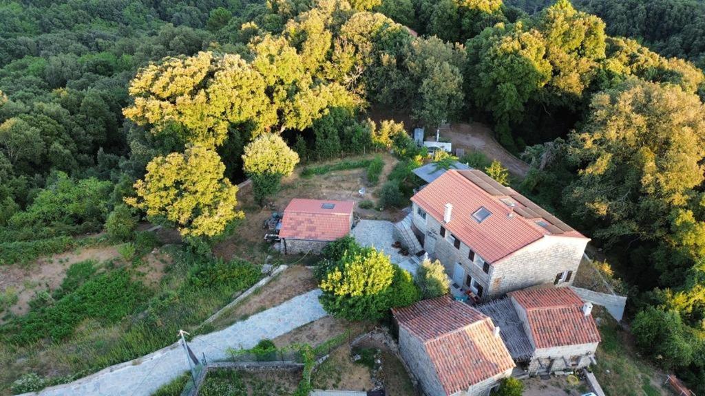 זונזה Chez Paulette - Meuble De Tourisme Classe 3 Etoiles מראה חיצוני תמונה